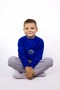Комплект детский (2-6 лет) 3905 джемпер+брюки, начес 2-х нитка, василек/серый, дтф-принт